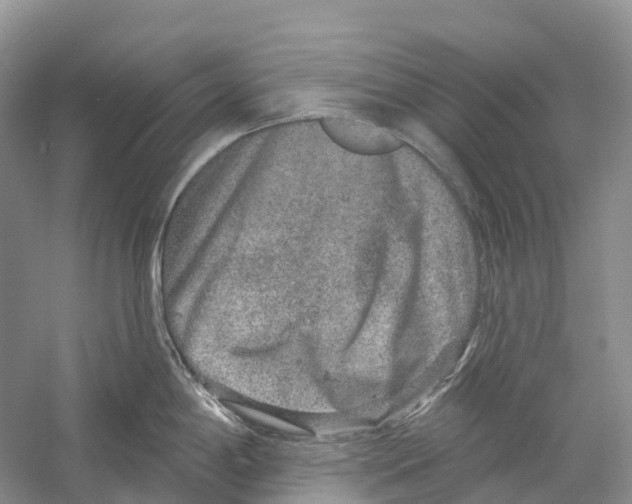 X0000059241198200511111607