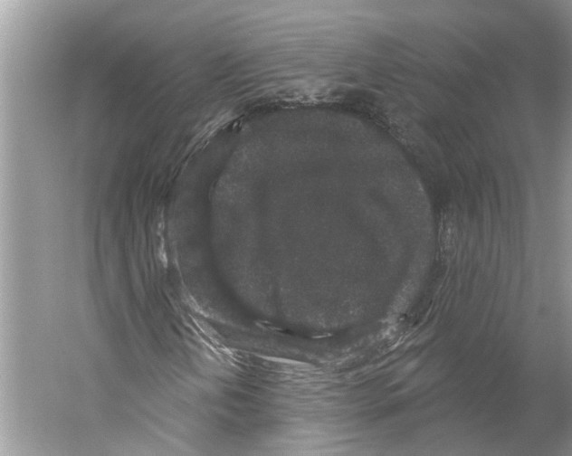 X0000059241202200511111606