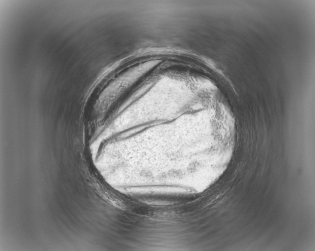 X0000059241221200511111606