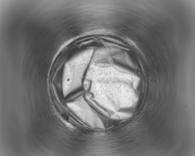 X0000059241230200511111606