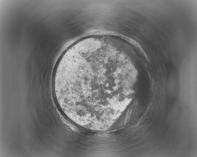 X0000059241231200511111606
