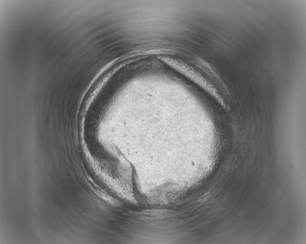 X0000059241236200511111606