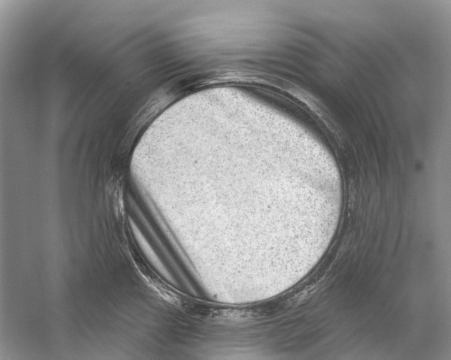 X0000059241241200511111606