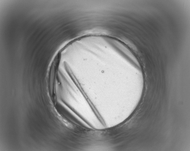 X0000059241248200511111606