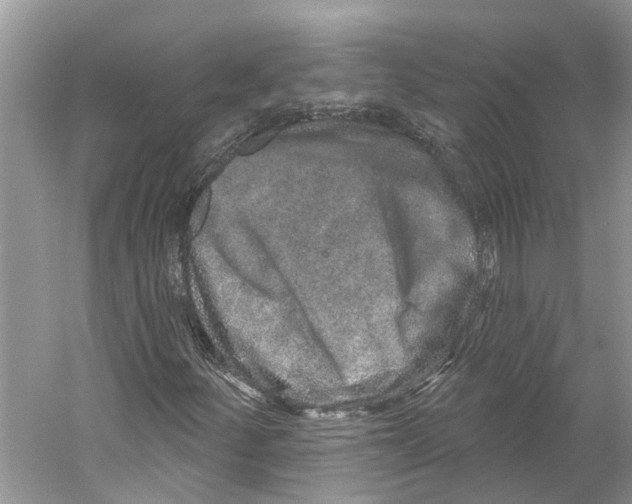 X0000059241252200511111606