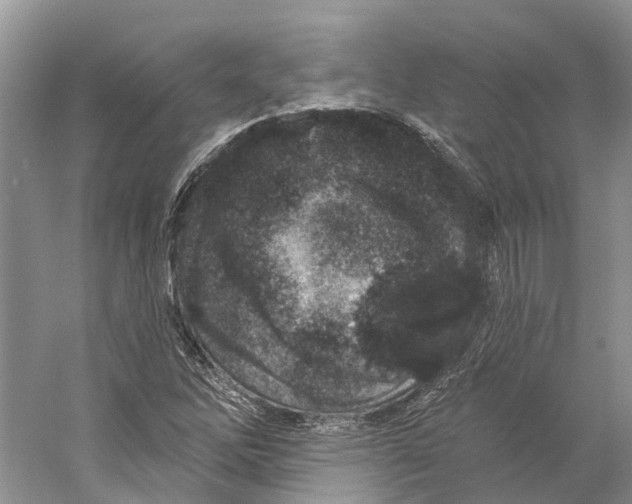 X0000059241262200511111605