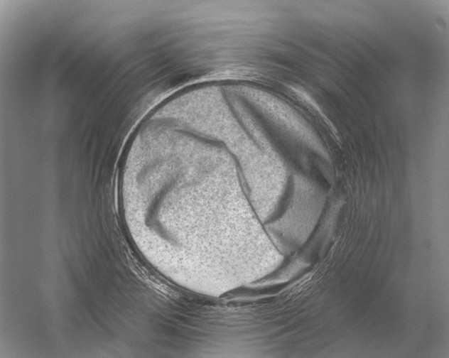 X0000059241276200511111605