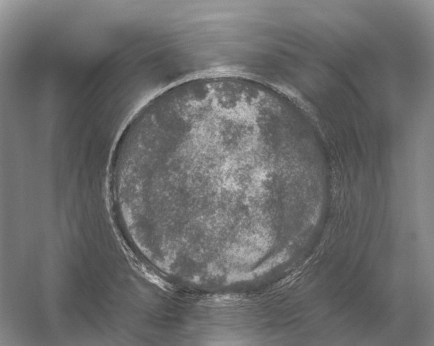 X0000059241278200511111605