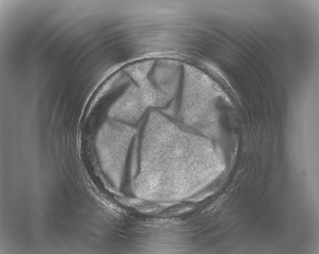 X0000059241284200511111605