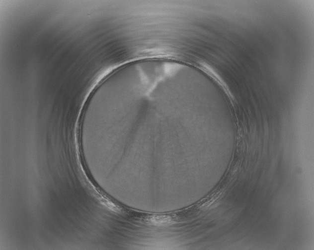 X0000059241291200511111605