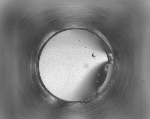 X0000059241293200511111605