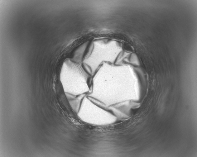 X0000059241301200511111604