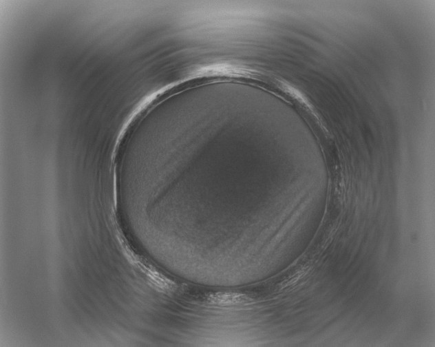 X0000059241323200511111604