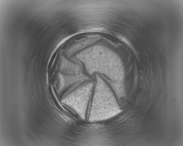 X0000059241324200511111604