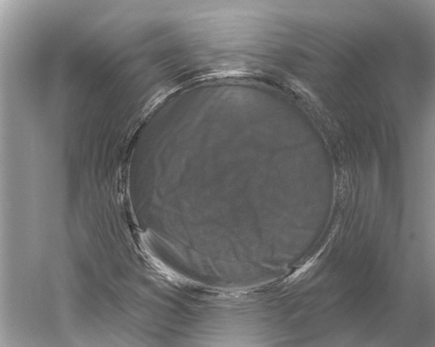 X0000059241353200511111604