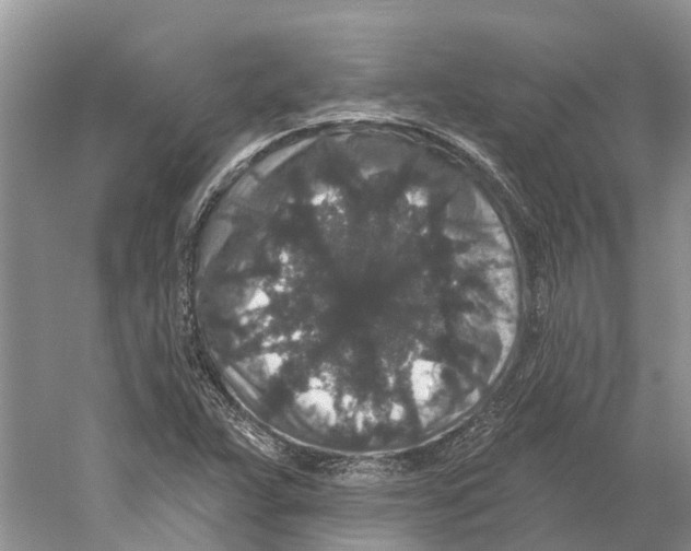 X0000059241359200511111604
