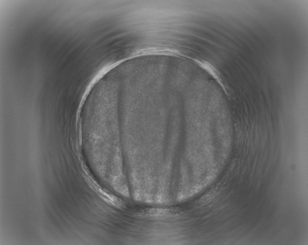 X0000059241371200511111604