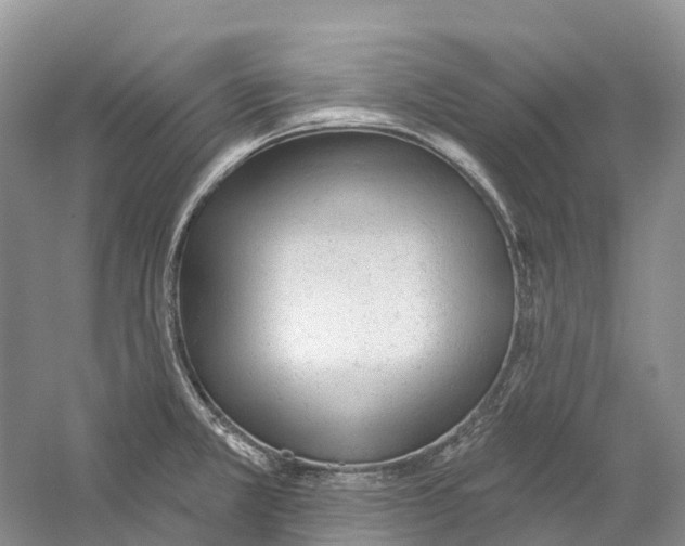 X0000059241381200511111603