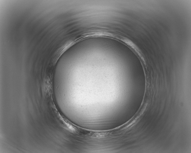 X0000059241385200511111603