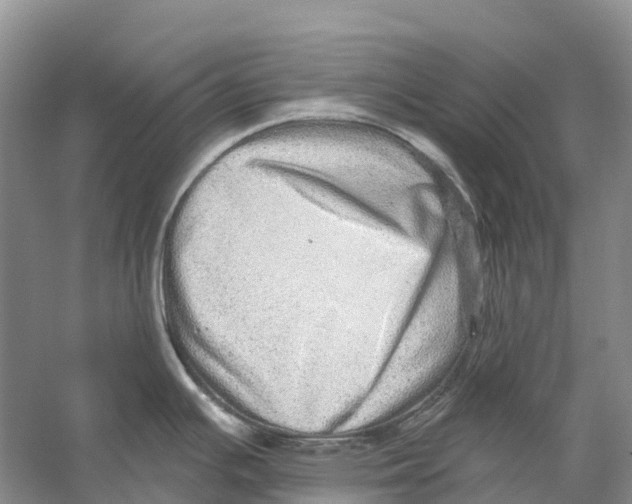 X0000059241391200511111603