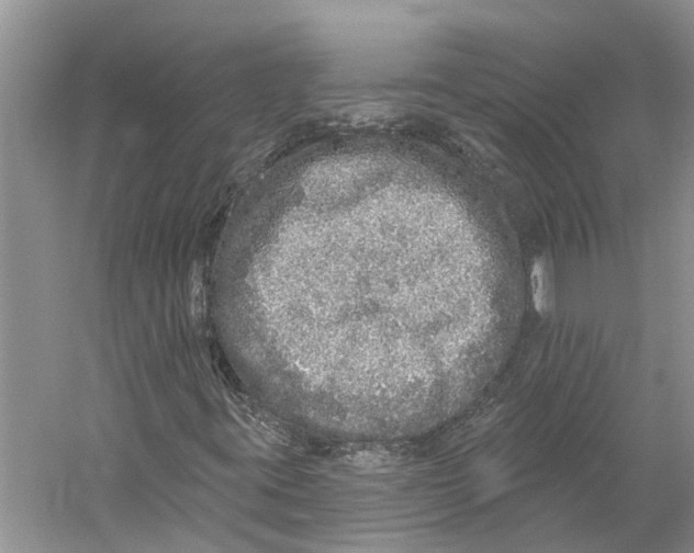 X0000059241395200511111602