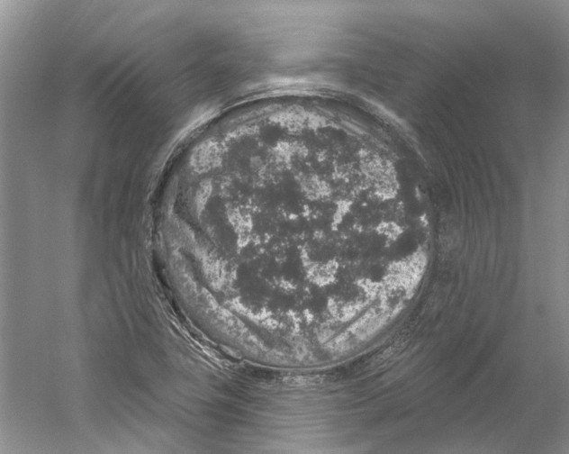 X0000059241411200511111603