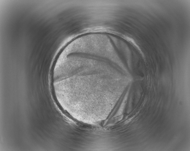 X0000059241424200511111603