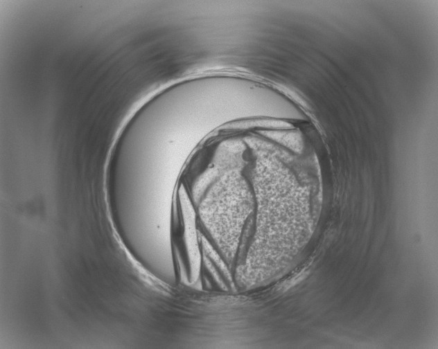 X0000059241430200511111603