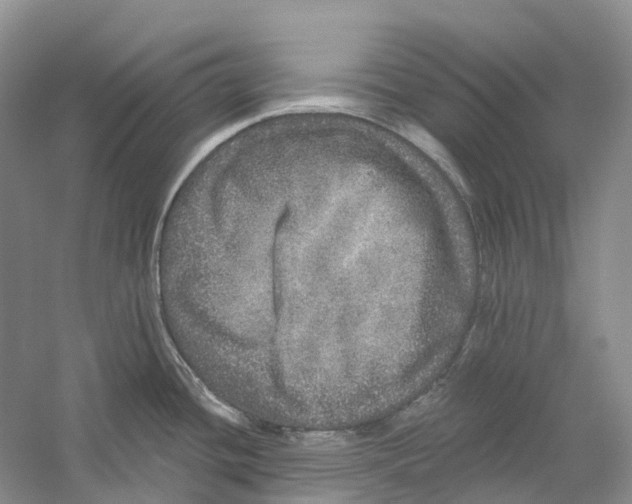 X0000059241436200511111603