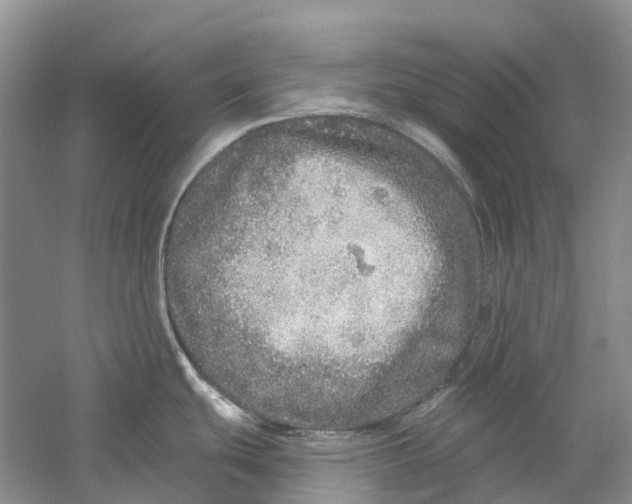 X0000059241439200511111603