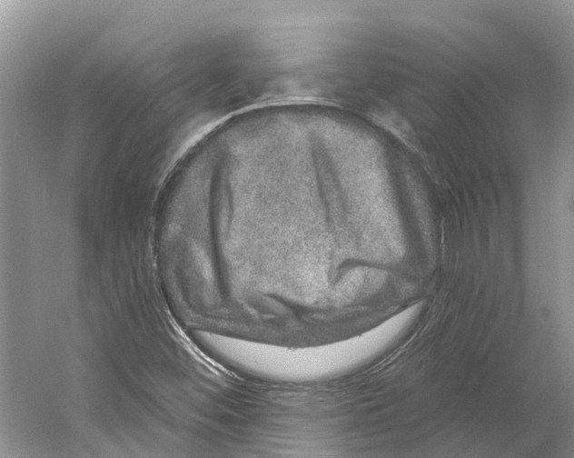 X0000059241452200511111602