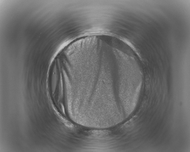 X0000059241469200511111602