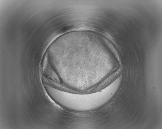 X0000059241476200511111602