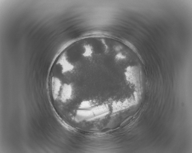 X0000059241482200511111602