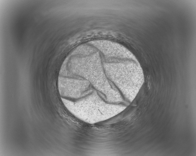 X0000059241489200511111601