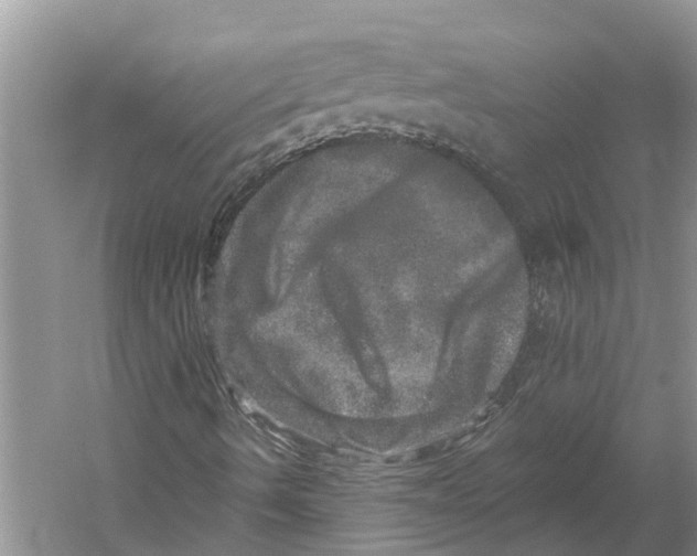 X0000059241490200511111601