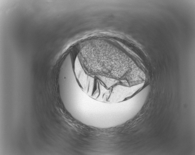 X0000059241496200511111601