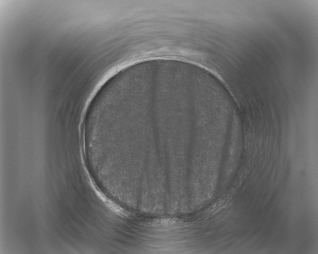 X0000059241515200511111601
