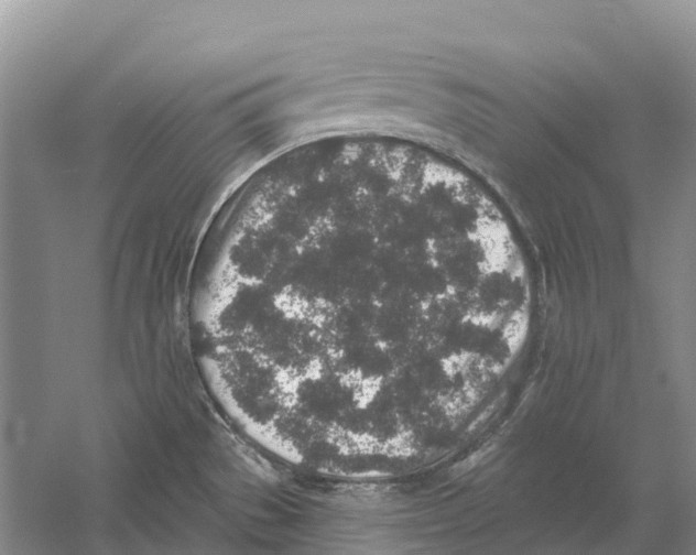 X0000059241529200511111601