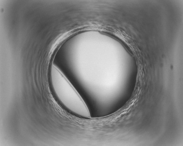 X0000059250007200510140857