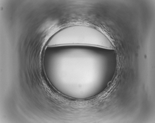 X0000059250008200510140857