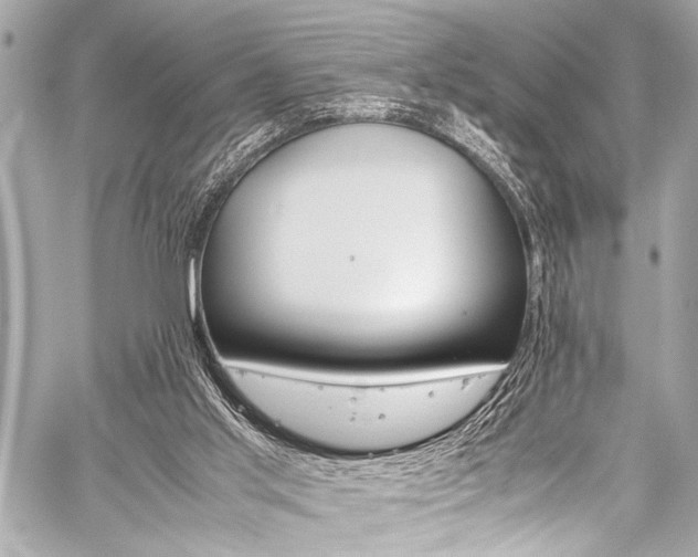 X0000059250013200510140857