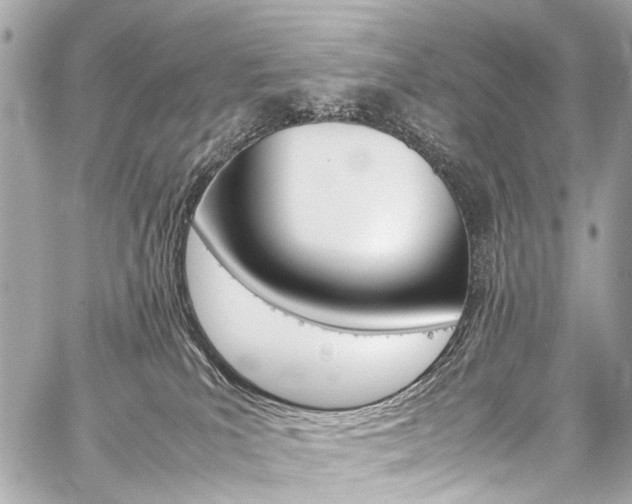 X0000059250039200510140856