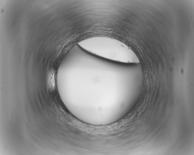 X0000059250042200510140856