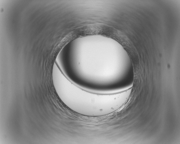X0000059250045200510140856