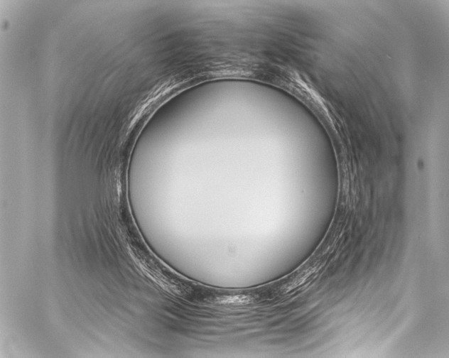 X0000059250059200510140856