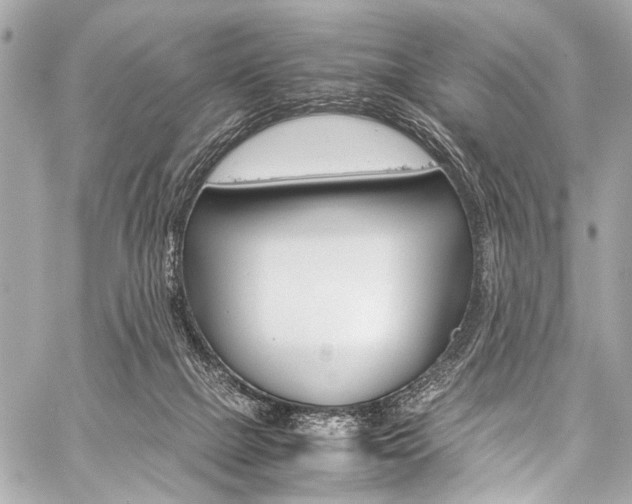X0000059250073200510140856