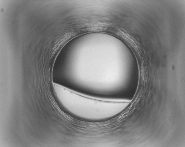 X0000059250105200510140855