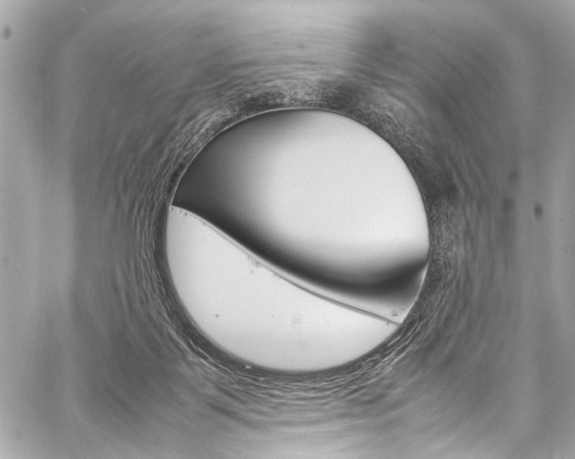 X0000059250123200510140855