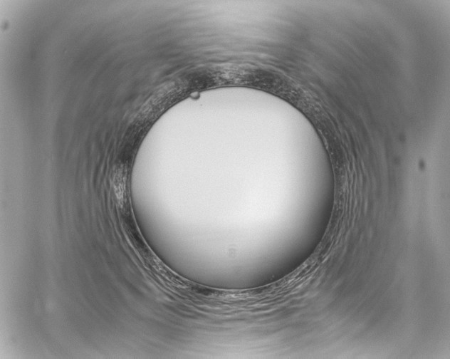 X0000059250129200510140855